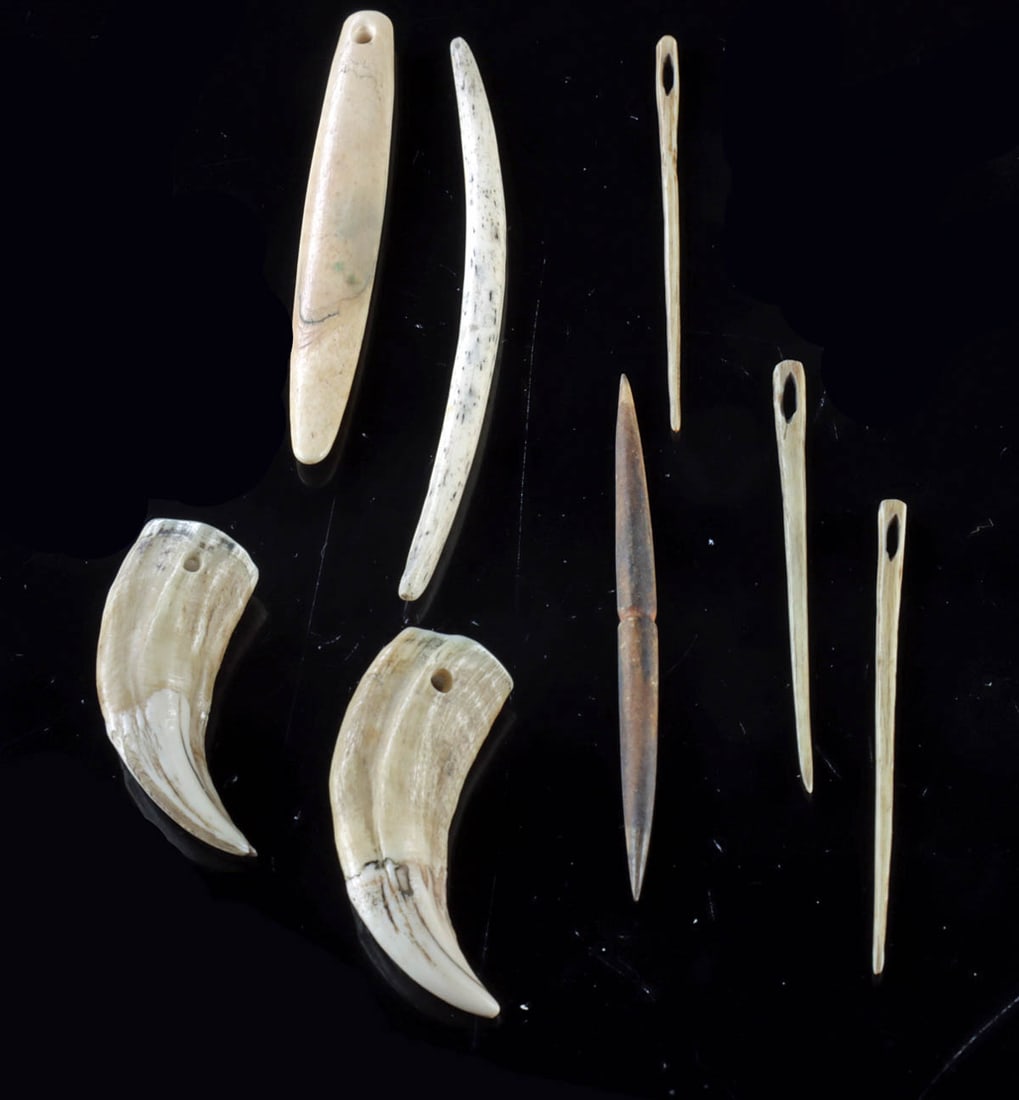 Melanesia Bone Nose Ornaments, Needles & Teeth (1 of 1)
