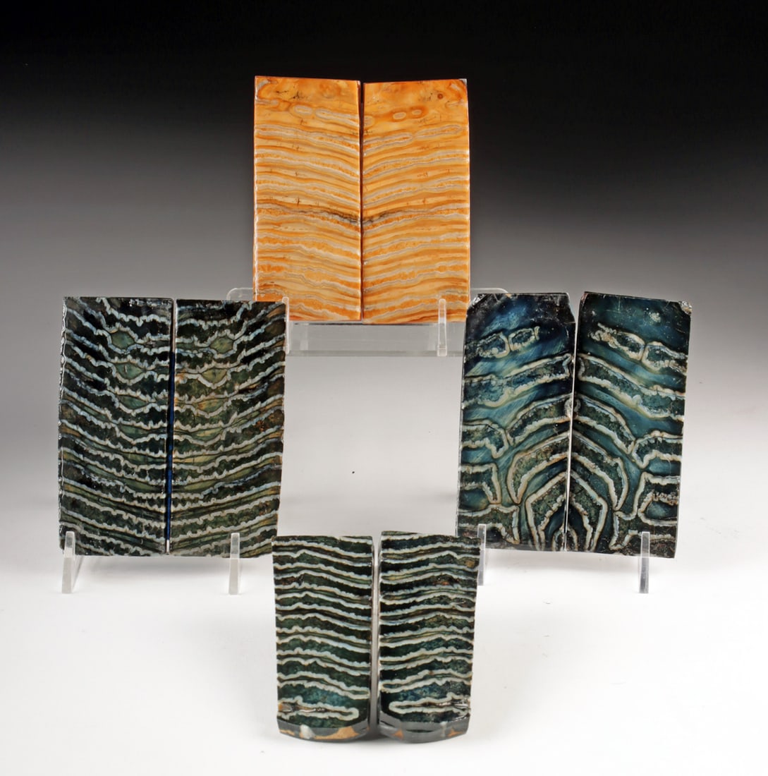 4 Pairs of Polished Fossilized Mammoth Molar Panels: North America or Siberia, Pleistocene Epoch, ca. 2.6 million to 10,000 years ago. A group of four matched pairs of fossilized mammoth molar panels, each cut and polished to a smooth finish that highli