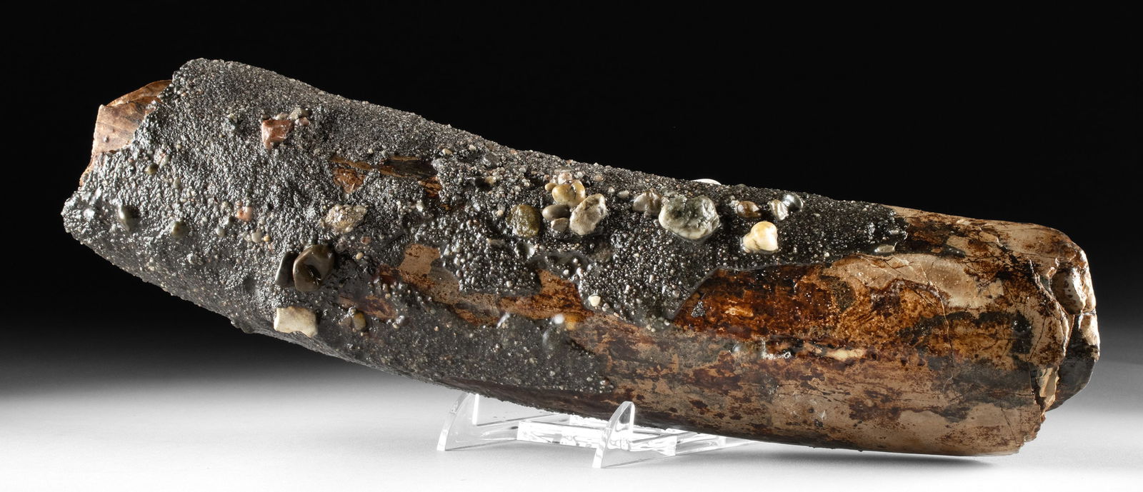 Fossilized Mammoth Ivory Tusk Fragment (1 of 3)