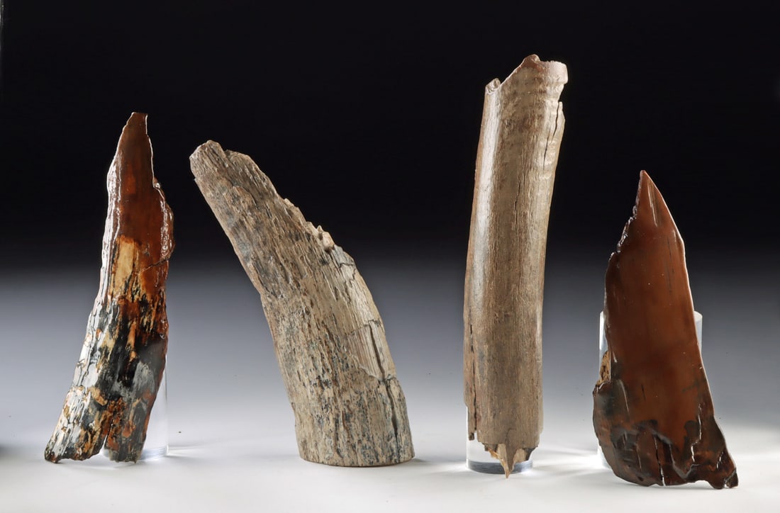 Prehistoric Mammoth Fossil Ivory Tusk Fragments: North America or Asia, Siberia, Pleistocene (Ice Age), ca. 200,000 to 10,000 years ago. A collection of four fossilized ivory tusk fragments from prehistoric woolly mammoths and/or mastodons, preserve