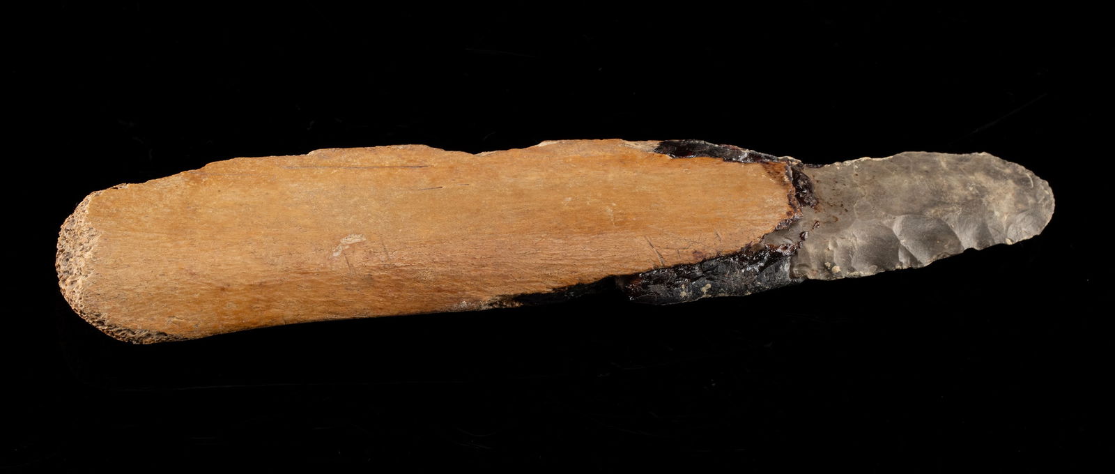 Native American Hafted Stone Knife with Bison Bone Grip: Native American, Western to Southwestern United States, ca. 15th to 18th century CE. A finely knapped chert blade inset into a bison or other large ungulate rib bone handle and secured with a dark nat