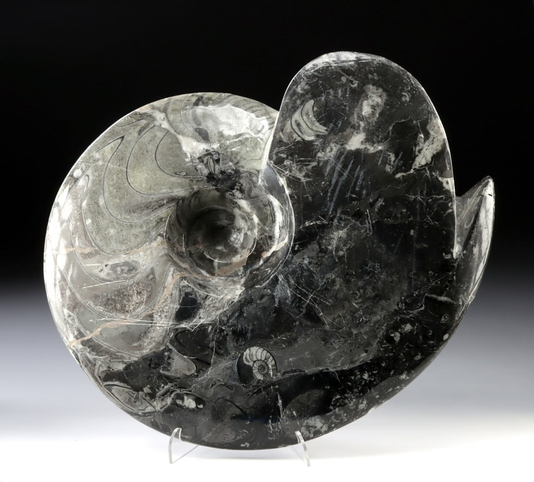 Moroccan Fossil Ammonite Carving with Orthoceras Shells (1 of 2)