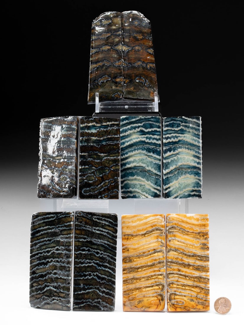 5 Pairs of Polished Fossilized Mammoth Molar Panels: North America or Siberia, Pleistocene Epoch, ca. 2.6 million to 10,000 years ago. A group of five matched pairs of fossilized mammoth molar panels, each cut and polished to a smooth finish that highli