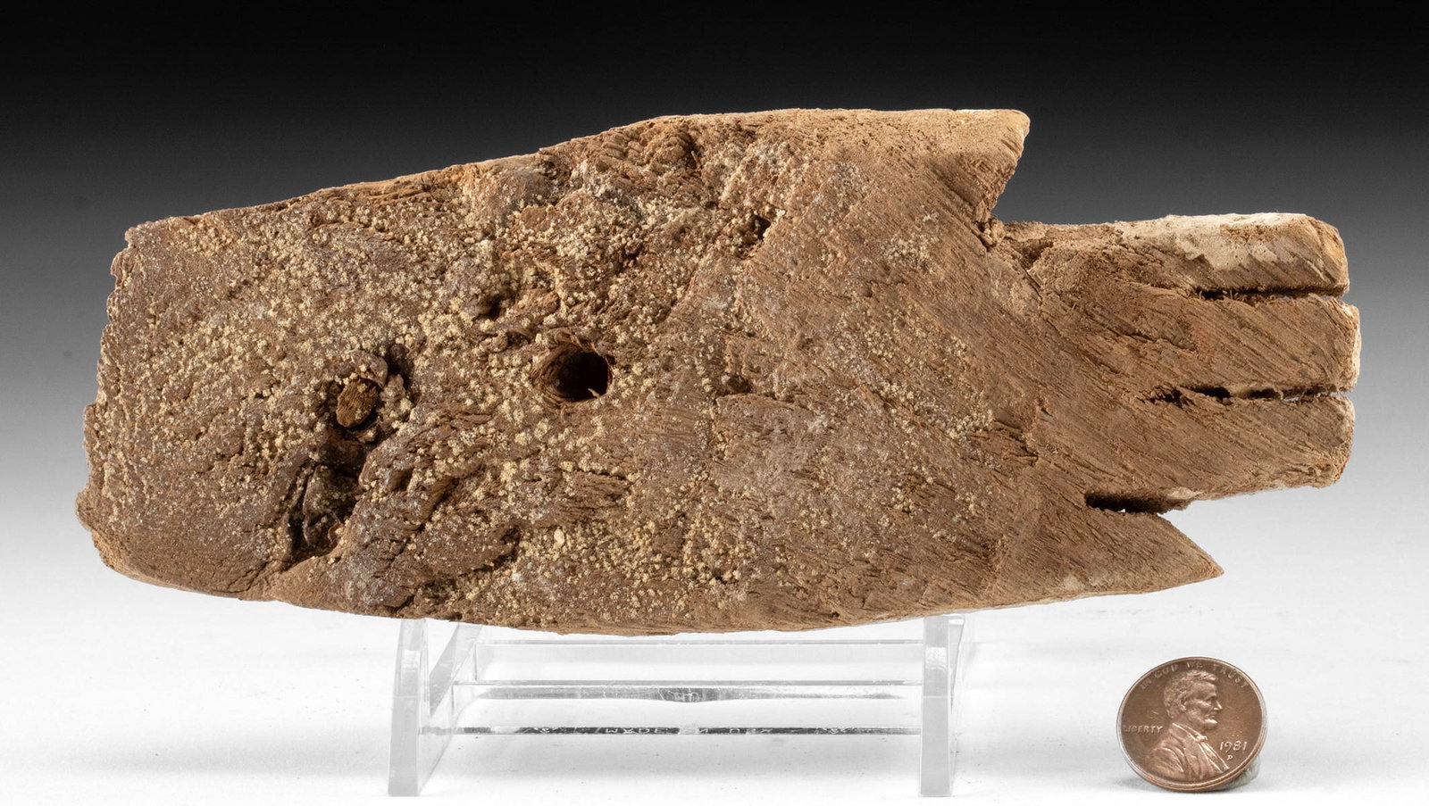 Egyptian Painted Wood Hand - Late Dynastic Sarcophagus - 2