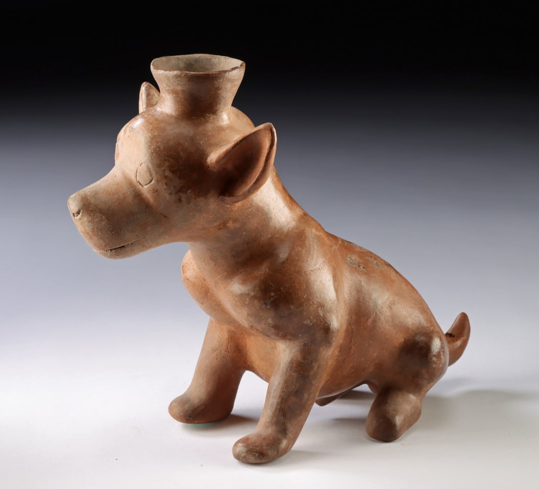 Colima Shaft Tomb Seated Redware Dog Vessel: Pre-Columbian, West Mexico, Colima, Protoclassic period, ca. 300 BCE to 300 CE. A redware pottery dog shown seated with an alert posture and expressive, forward-facing stance. The figure features an o