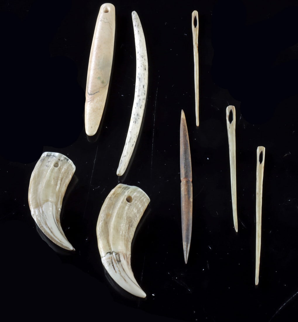 Melanesia Bone Nose Ornaments, Needles & Teeth (1 of 1)