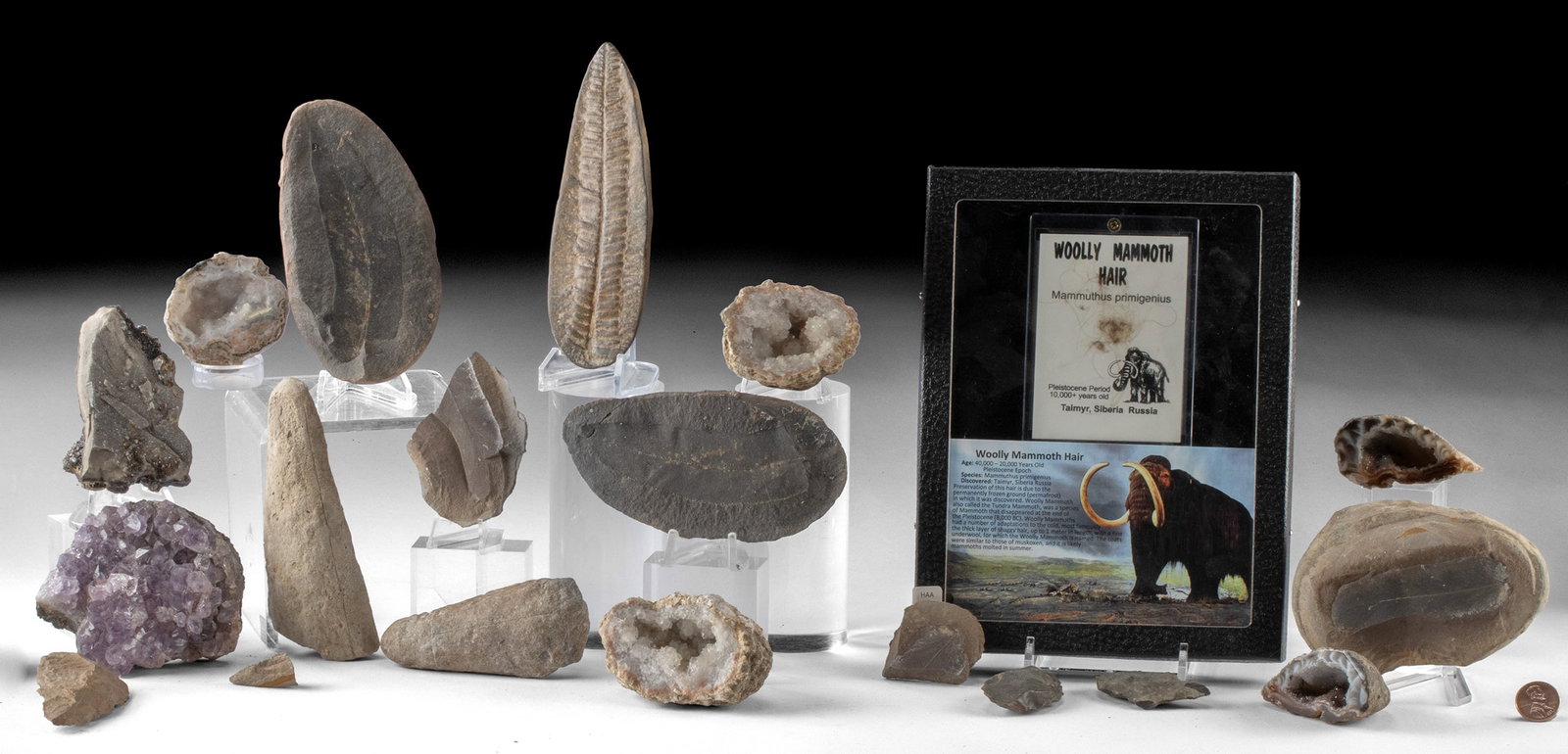 Mineral Collection, Geodes + Mammoth Fur & Fern Fossils (1 of 1)