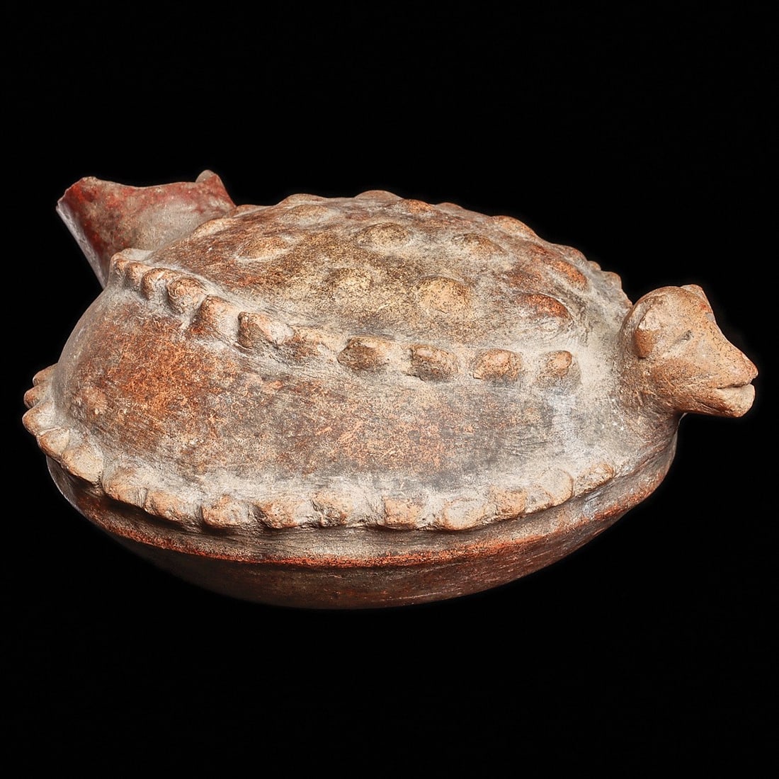 Colima Armadillo Effigy Vessel - Raised Nub Shell, Tail Spout: Colima. Ca. 100 BCE - 250 CE. Orange ware pottery vessel depicting a stylized armadillo having a saucer shape body with rows of raised pointy nubs, projecting head and rear tail spout. Overall mineral