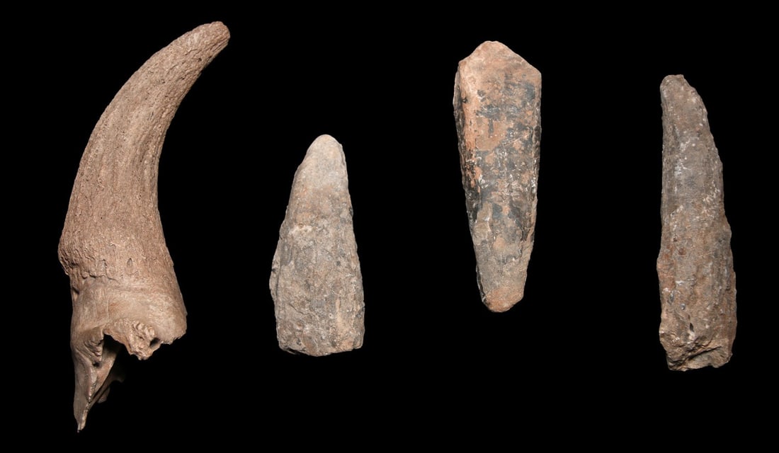 Fossilized Bison Horn Core & Three Dinosaur Bones (1 of 1)