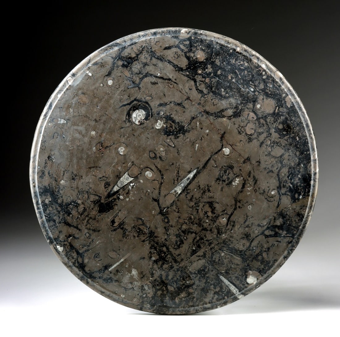 Circular Orthoceras & Ammonite Fossil Slab Table Top (1 of 2)