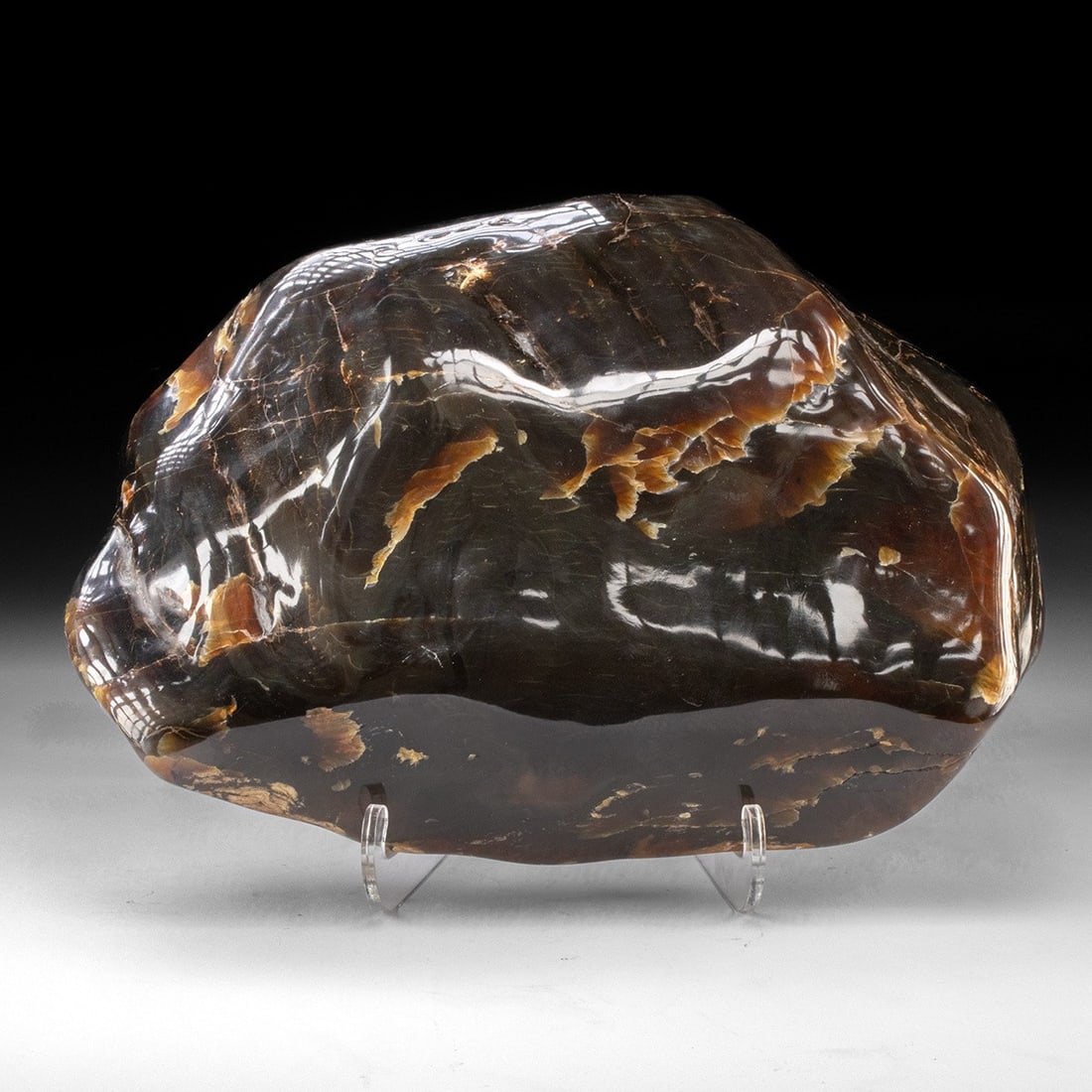 Massive Indonesian Polished Amber Nugget 7.4 Pounds!: Southeast Asia, Indonesia, Sumatra, ca. 20th century CE. An extraordinary and impressively large specimen of amber, notable for its exceptional weight of 7.4 lb, deep coloration, and striking optical 