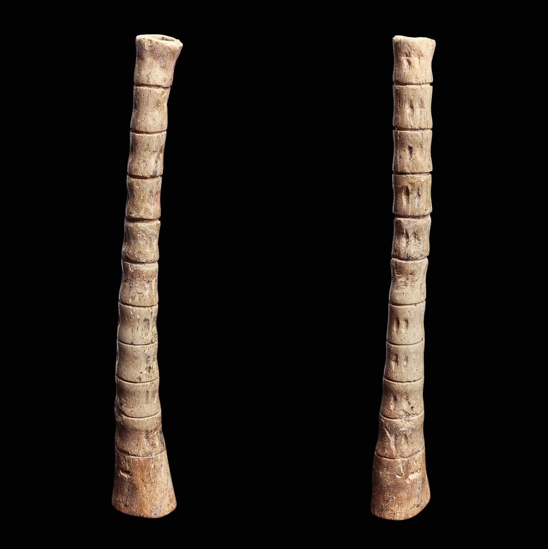 Chavin Sniffing Tube: North coast, ca. 1200 BCE. Archaic carved bone sniffing tube for hallucinogenic drugs. Made of a long bone carved in a vertebra design. Attached to a metal base. A rare example.. 7”L x 1.5”
