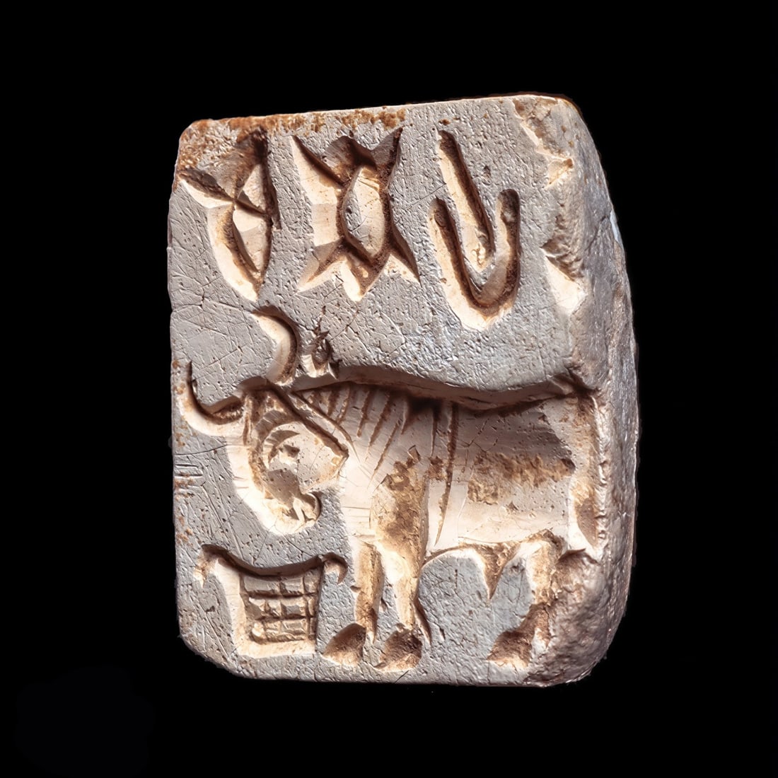 Indus Valley Stone Stamp Seal with Bull: Mojeno Daro, India, mature Harappan period, ca. 2800 - 2500 BCE. Burnt steatite square stamp seal having an integral double suspension lug on the back. Decorated with a deeply carved profile horned bu