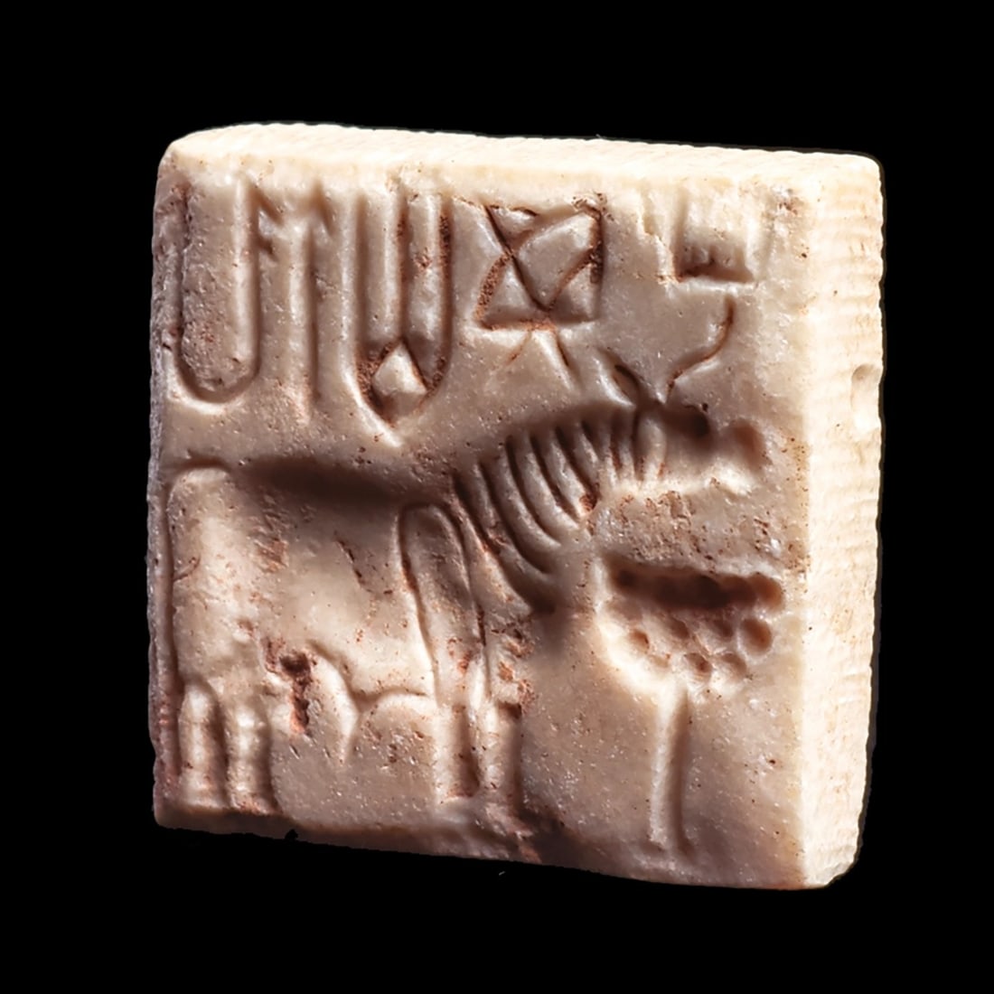 Indus Valley Bull Stamp Seal: Mojeno Daro, India, mature Harappan period, ca. 2800 - 2500 BCE. Burnt steatite square stamp seal having an integral double suspension lug on the back. Decorated with a deeply carved profile horned bu