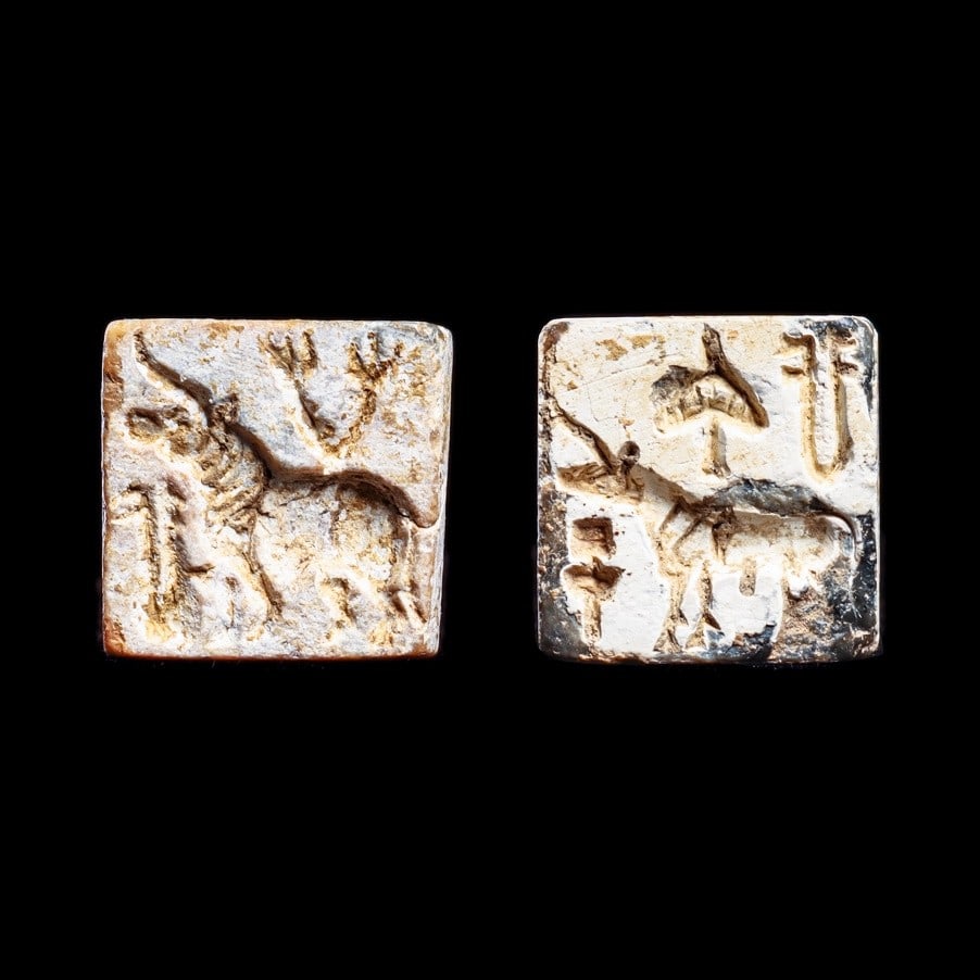 Indus Valley Bull Stamp Seals (2): Mojeno Daro, India, mature Harappan period, ca. 2800 - 2500 BCE. Two smaller burnt steatite square stamp seals, both have an integral double suspension lug on the back. Each is decorated with a deeply
