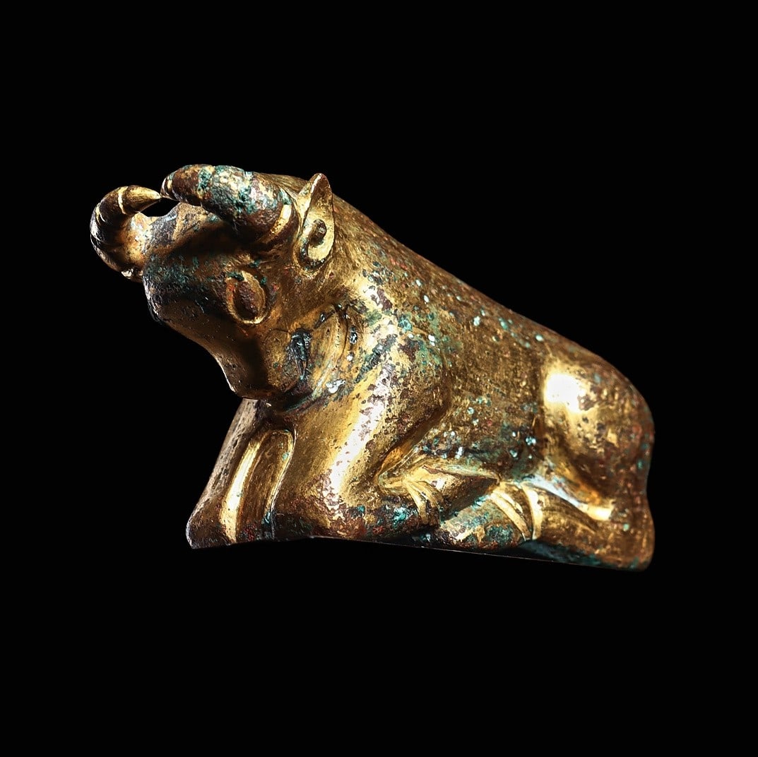 Ordos Gilt Bronze Bull: Ordos, late 1st millennium BCE to early 1st millennium CE. Heavy cast bronze votive reclining bull, with his legs folded, having large curved segmented horns, his snout held against his chest and havi
