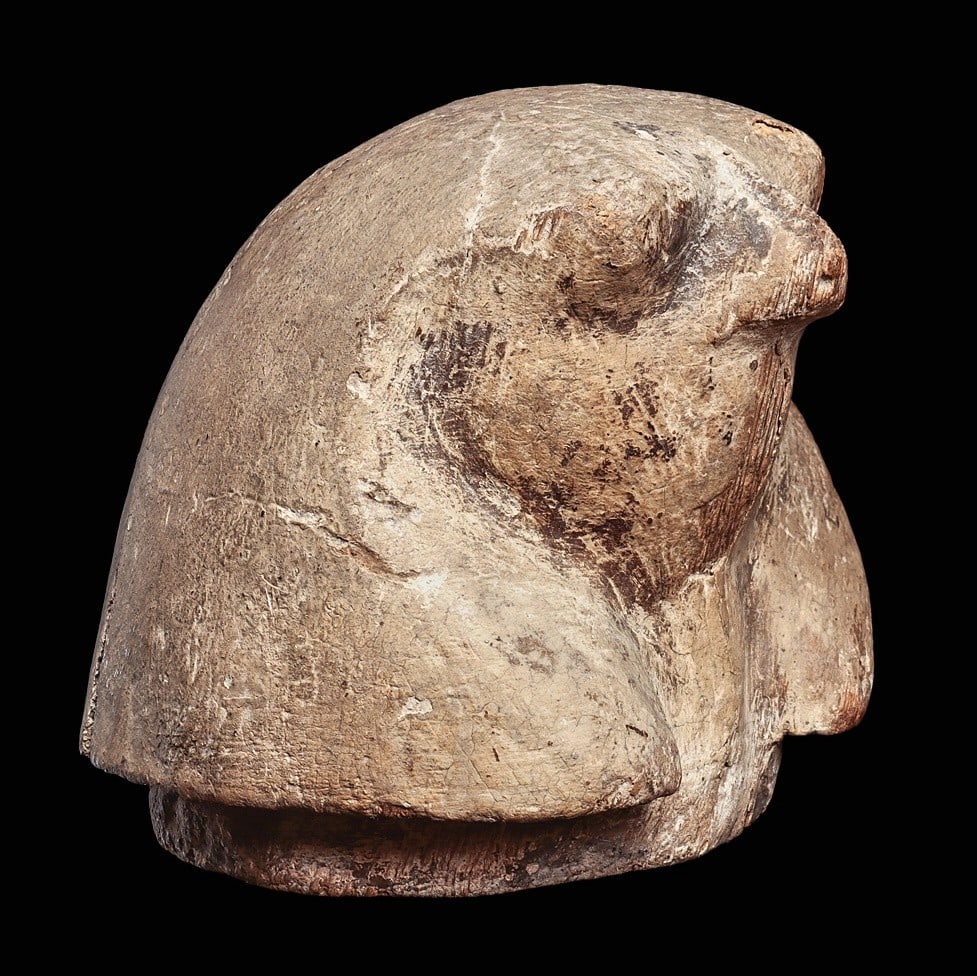 Qebehsenuef Falcon Head Canopic Jar Lid (1 of 4)