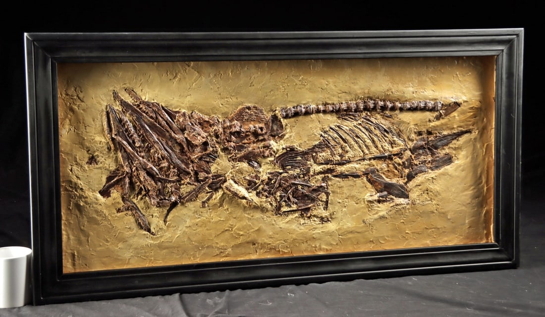 Fossilized Cimolichthys Nepoholica Fish Panel (1 of 4)