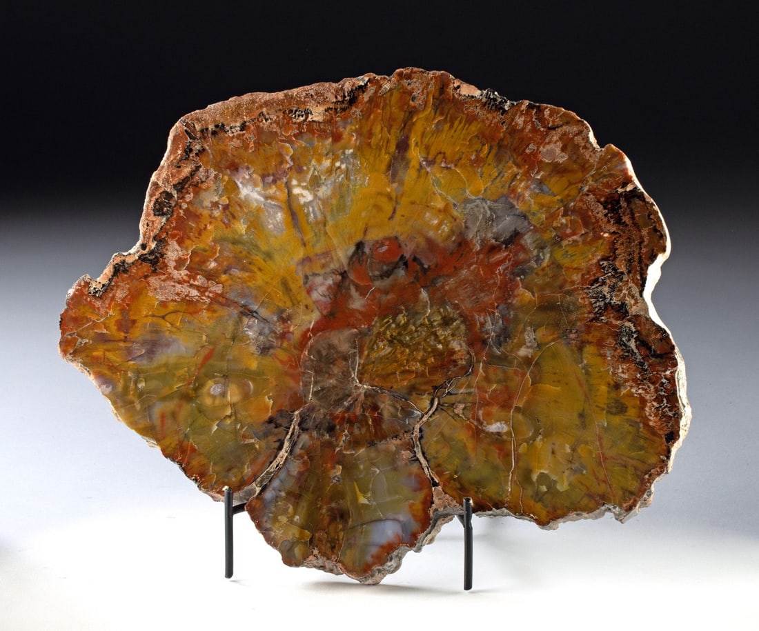 Arizona Triassic Petrified Wood Slab - Rainbow (1 of 3)
