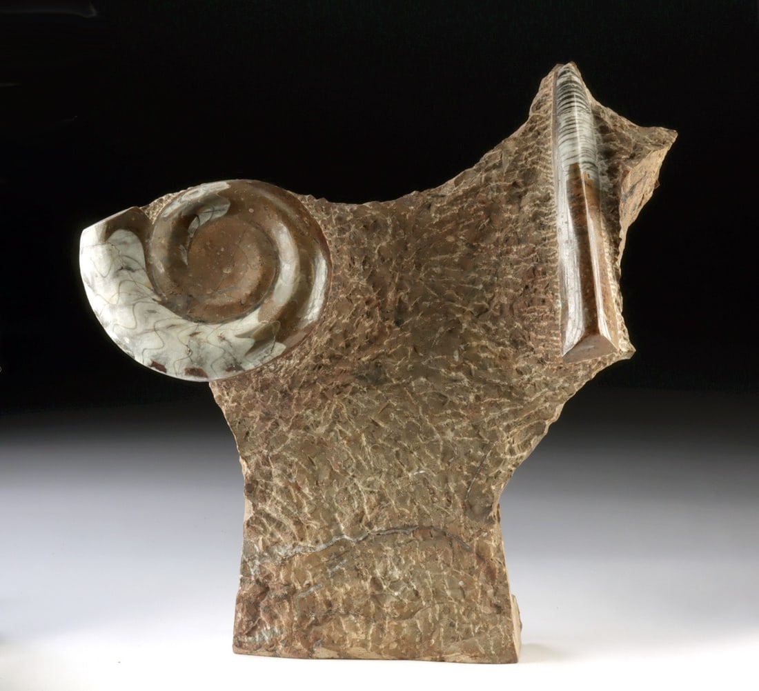 Sculptural Orthoceras & Ammonite Fossils (1 of 3)