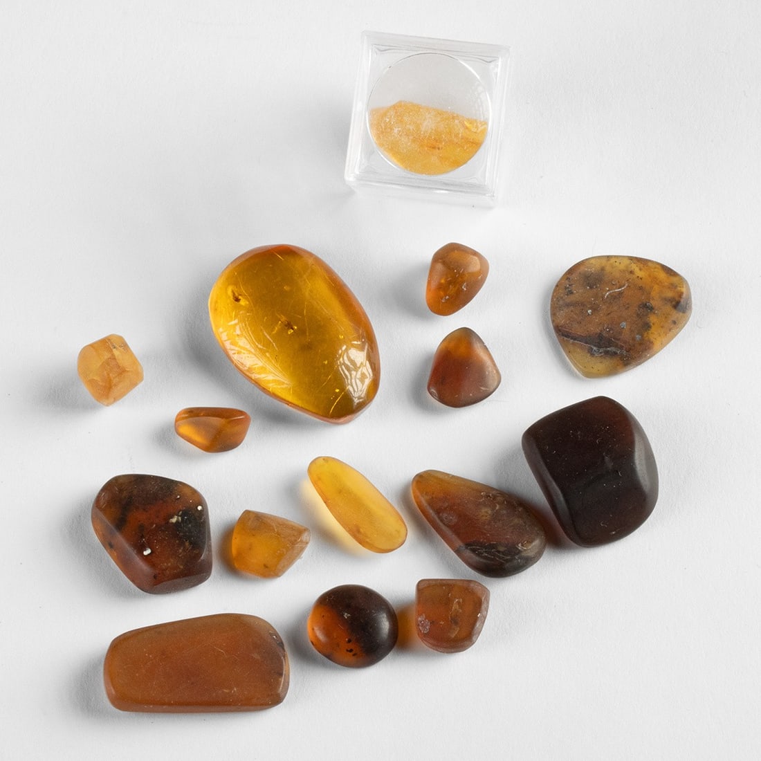 Baltic Amber Group, 15 Pcs w/ Inclusions: Northern Europe, Baltic region, ca. 47,000,000–34,000,000 BCE. Fifteen loose amber pieces in varied shapes and sizes, ranging from warm honey to deep cognac tones, some polished to a clear finis
