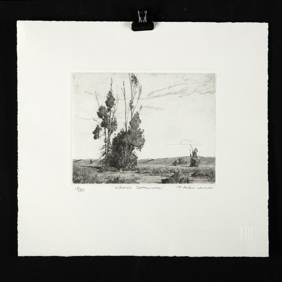 T. Allen Lawson Etching "Wyoming Cottonwoods" (1 of 2)