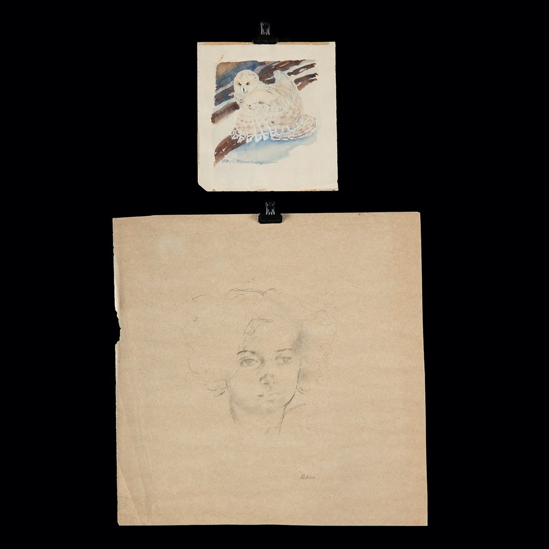 20th C. Bransom Owl & Deane Portrait Pair: (1) Freddie Deane (American, active XX century). "Young Woman" pencil drawing on paper, n.d. Illegible signature at lower right; (2) Paul Bransom (American, 1885-1979). Snowy Owl. Watercolor on paper,