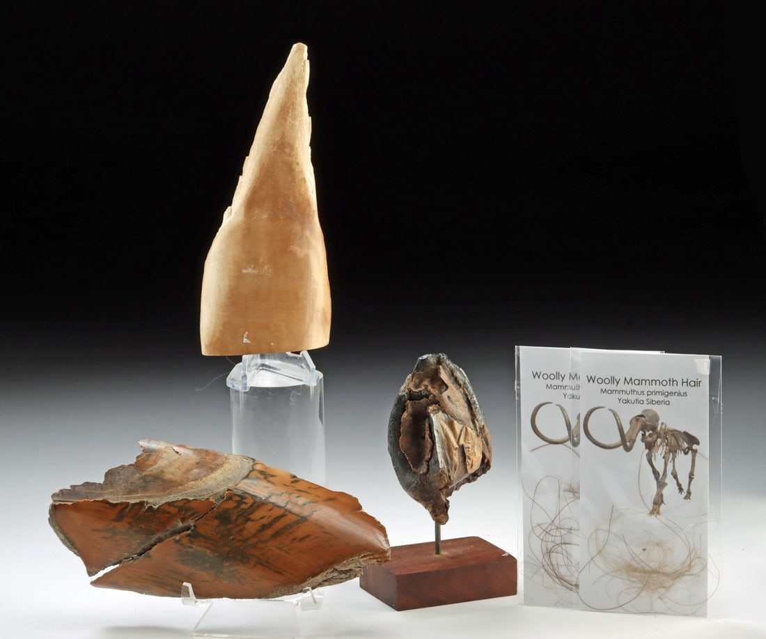 Wooly Mammoth Tusk Frags, Fur, & Wooly Rhino Tooth (1 of 2)