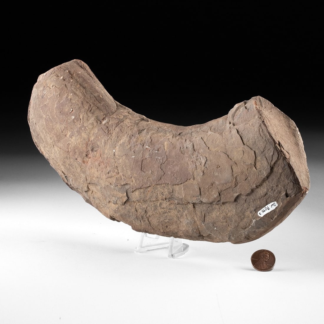 Large Native American Carved Stone Implement - 3