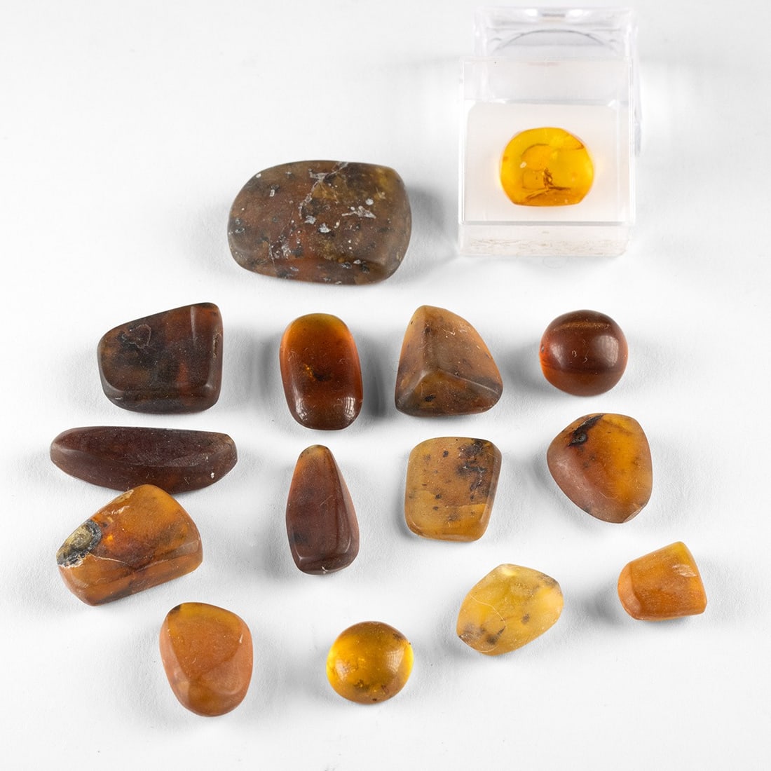 Fifteen Baltic Amber Pieces with Insect Inclusions: Eastern Europe, Baltic region, ca. millions of years ago. Fifteen loose amber pieces in varied shapes and sizes, ranging from warm honey to deep cognac tones, some polished to a clear finish with visi