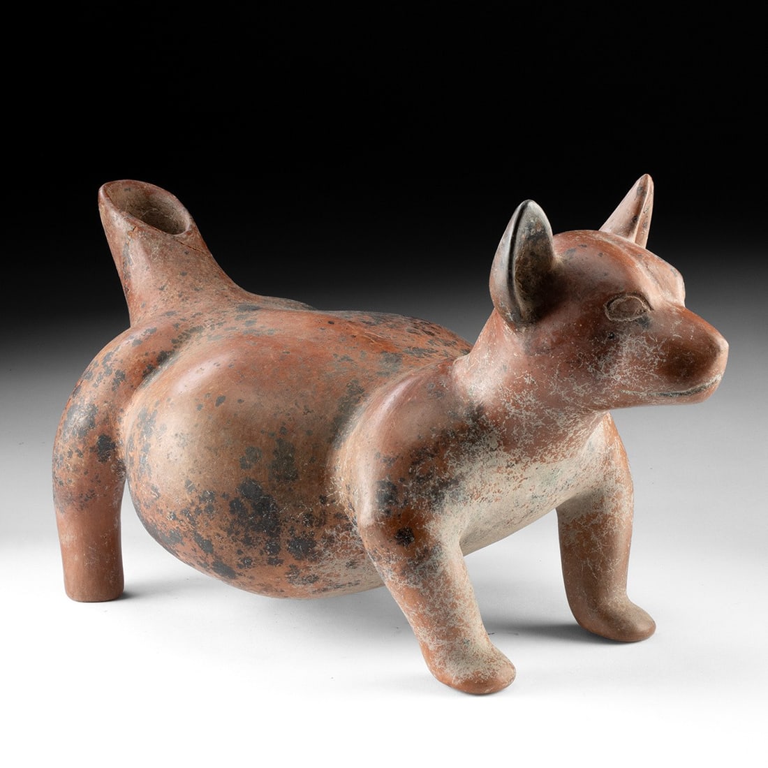 West Mexican Colima Pottery Dog Effigy Vessel (1 of 4)