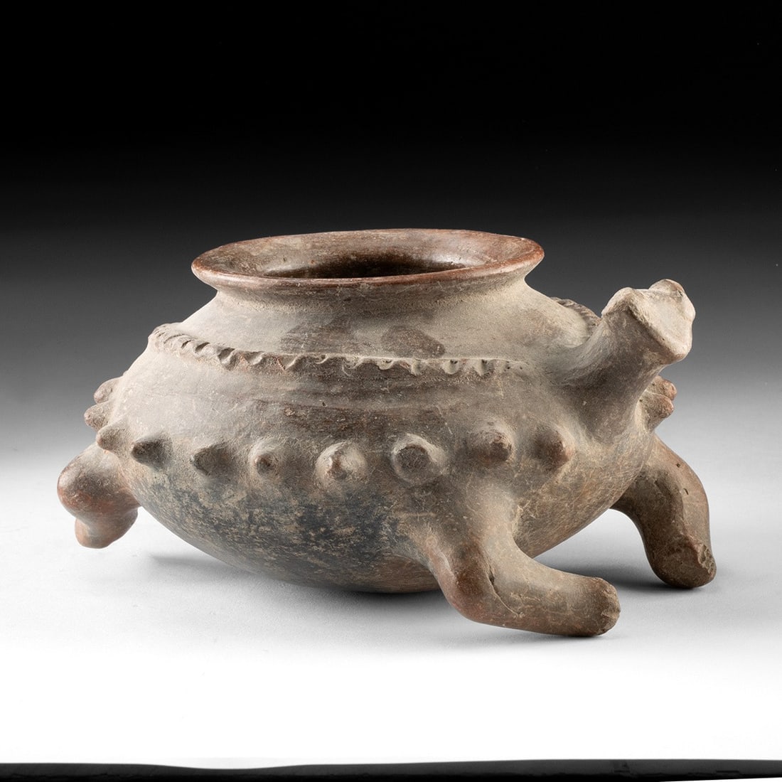 Colima Pottery Zoomorphic Effigy Jar - Horned Lizard (1 of 4)
