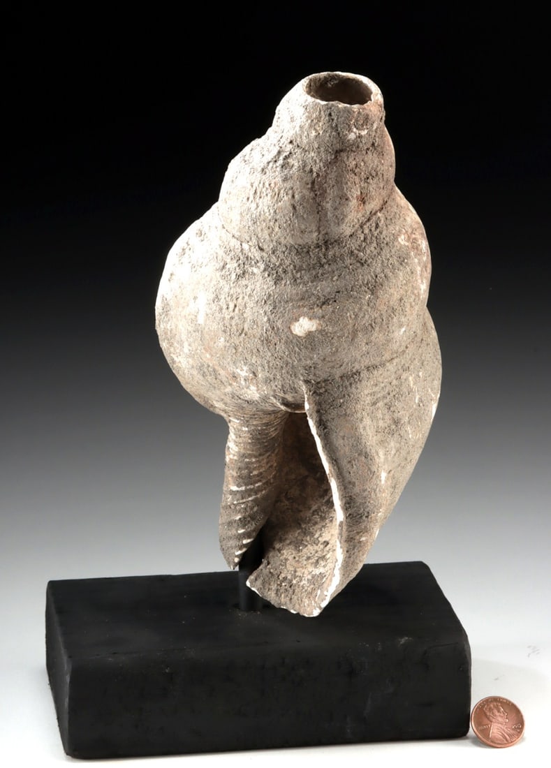 Mesoamerican Conch Shell Ritual Implement - 3