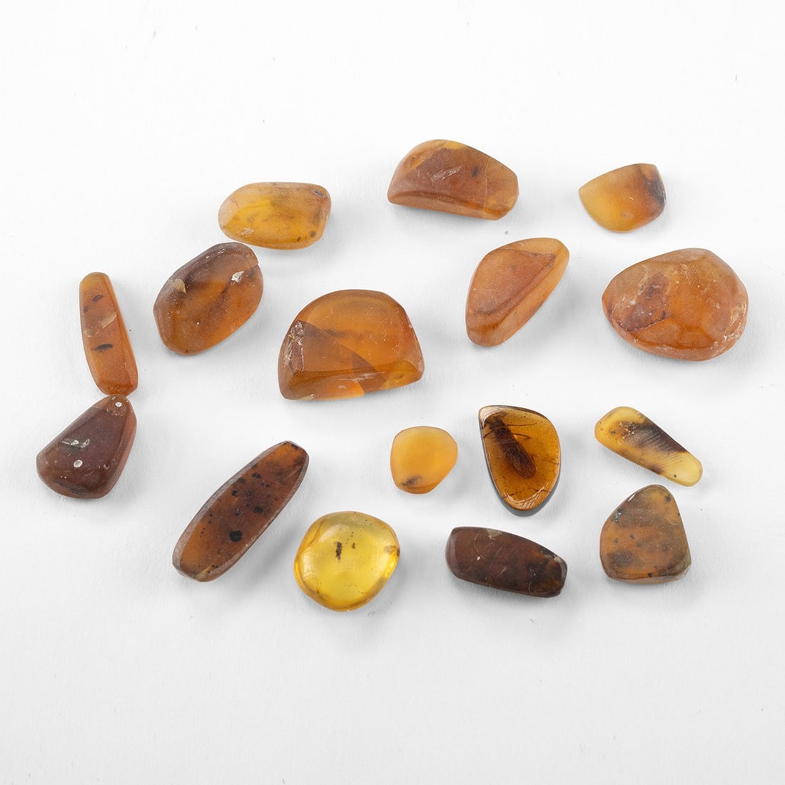 Baltic Amber w/ Insect Inclusions - Sixteen Polished Pieces (1 of 3)