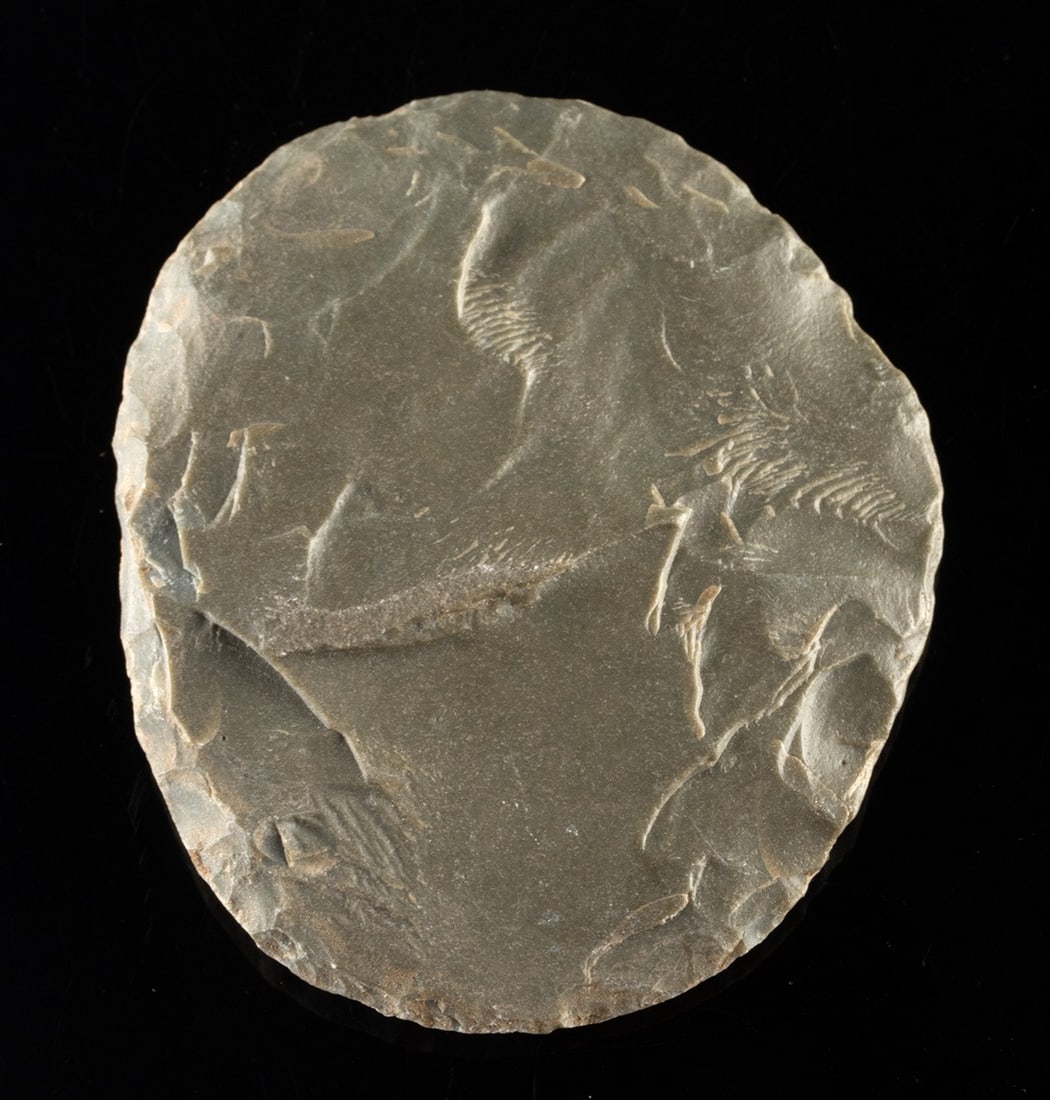 Neolithic African Saharan Chert Skinning Tool: North Africa, Sahara Desert region, Neolithic Period, ca. 8000 to 3000 BCE. A circular chert skinning tool knapped from gray stone, its broad discoid form carefully shaped through direct percussion an