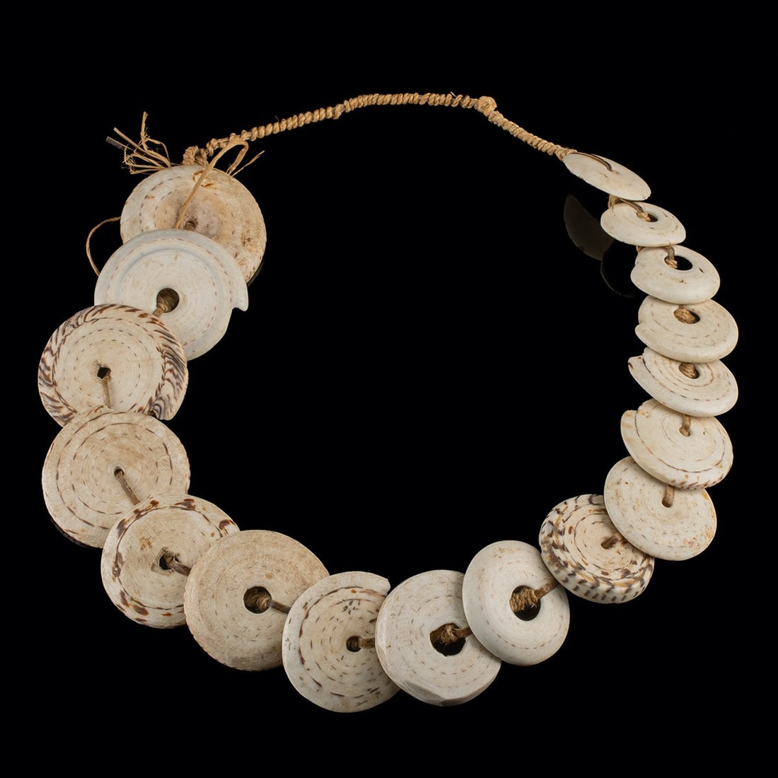 Melanesia Conus Shell Disc Necklace - Tribal Currency Adornment (1 of 4)