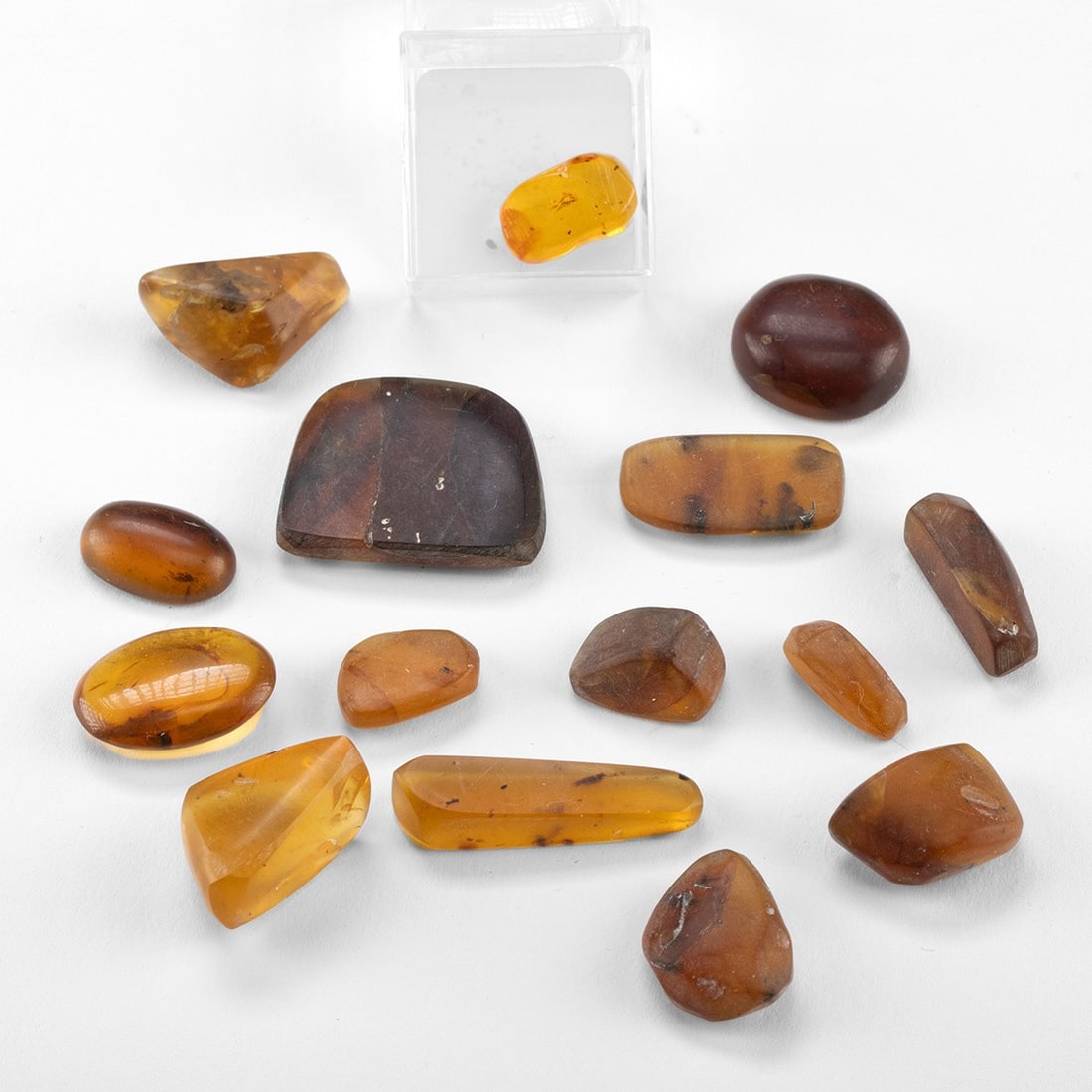Fifteen Amber Pieces with Suspended Insects (1 of 3)