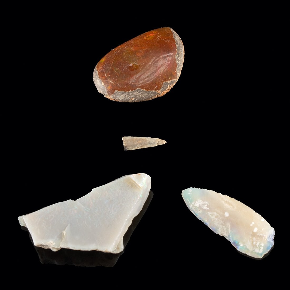 Cretaceous Dinosaur Tooth & Opals - Richardoestesia, Hell Creek Formation (1 of 2)