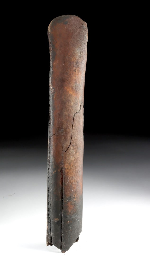 Large Fossilized Bone Section - North American Mammoth (1 of 2)
