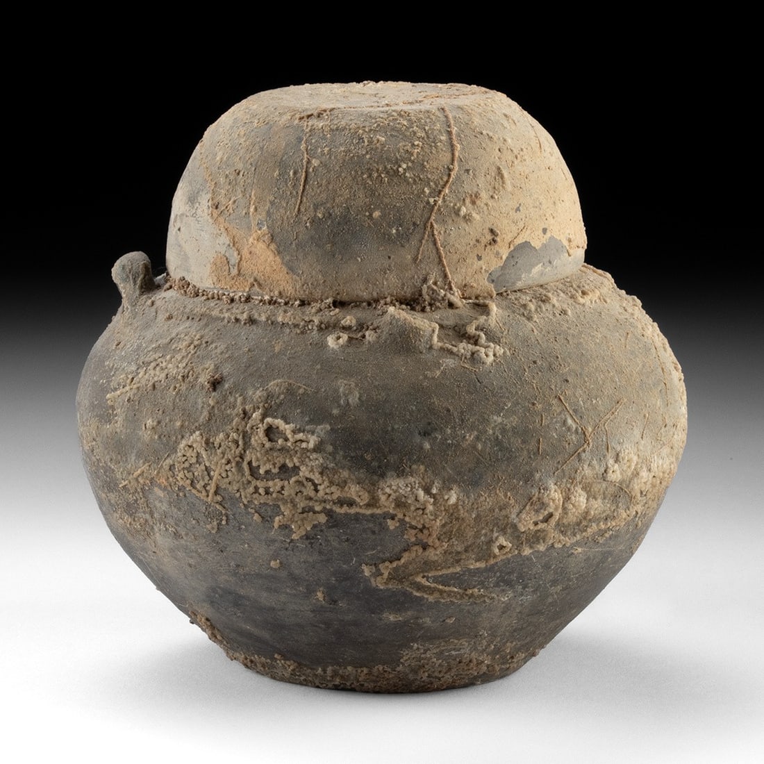 Han Dynasty Pottery Lidded Jar with Marine Encrustations (1 of 4)