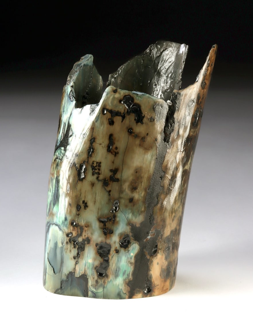 Fossil Woolly Mammoth Ivory Tusk Fragment, Dyed Vivianite Tones: North America, Alaska, Late Pleistocene Epoch, ca. 100,000 to 10,000 years ago. A large fossilized tusk fragment from a woolly mammoth. Its thick, cylindrical form hints at the tusk's original massive