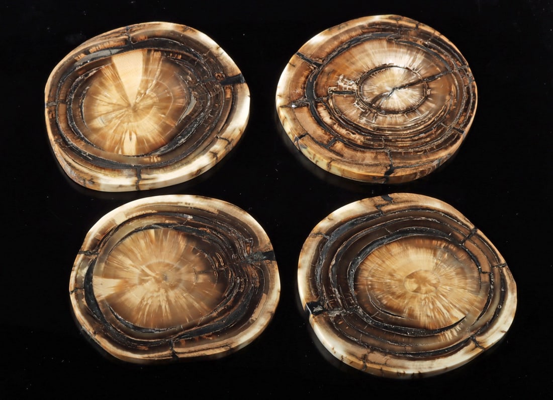 Pleistocene Mammoth Ivory Cross-Section Discs, Set of 4: North America, Alaska, Late Pleistocene Epoch, ca. 100,000 to 10,000 years ago. Four mammoth ivory tusk cross-section discs, each cut to expose the natural concentric layering of dentine and enamel, a