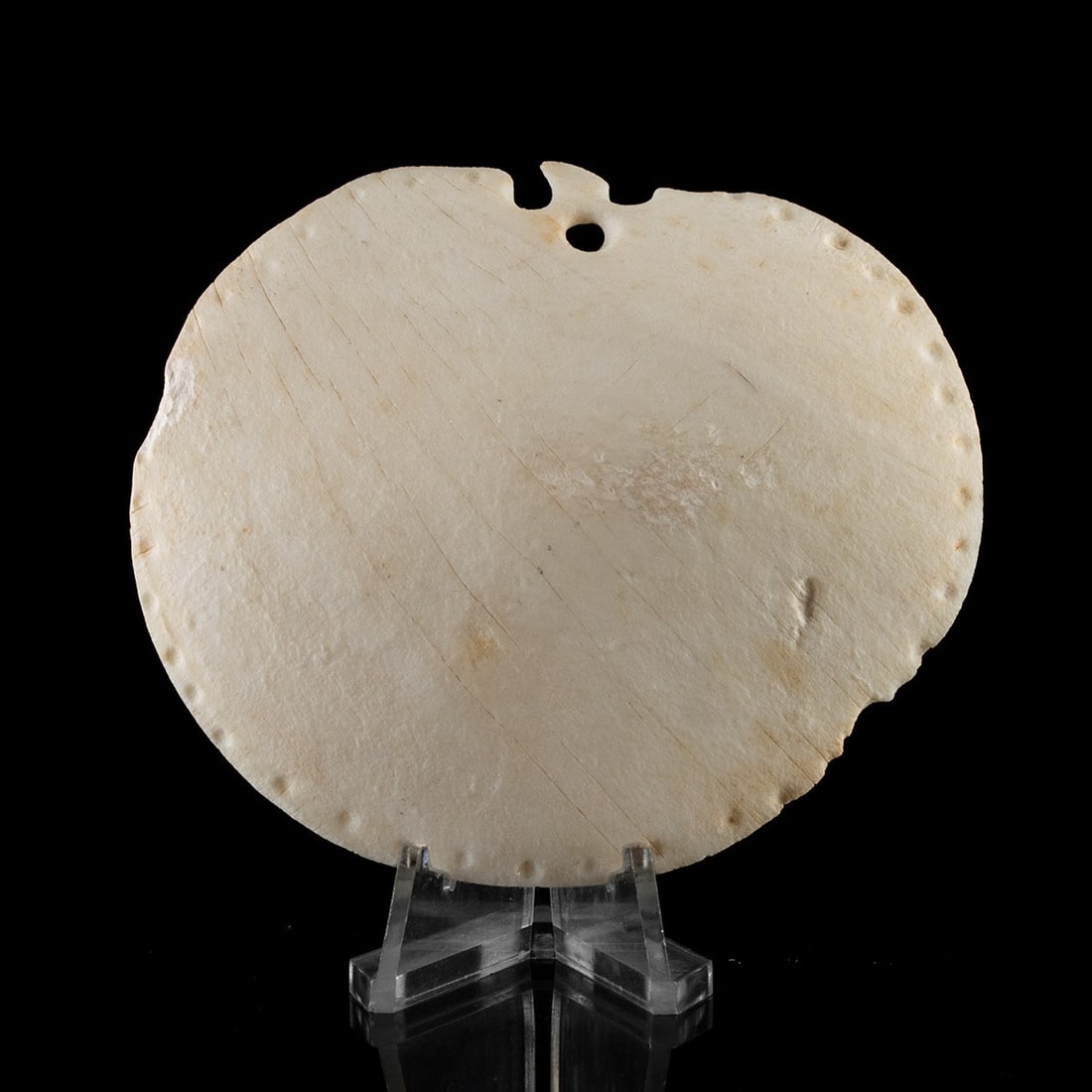 Mississippian Shell Gorget, Pintlala, 1929 Excavation: Native American, Mississippian culture, found at Pintlala, Montgomery County, Alabama, ca. 900 to 1600 CE. A disc cut from the columellar wall of a marine whelk shell, with a ring of small punched dot
