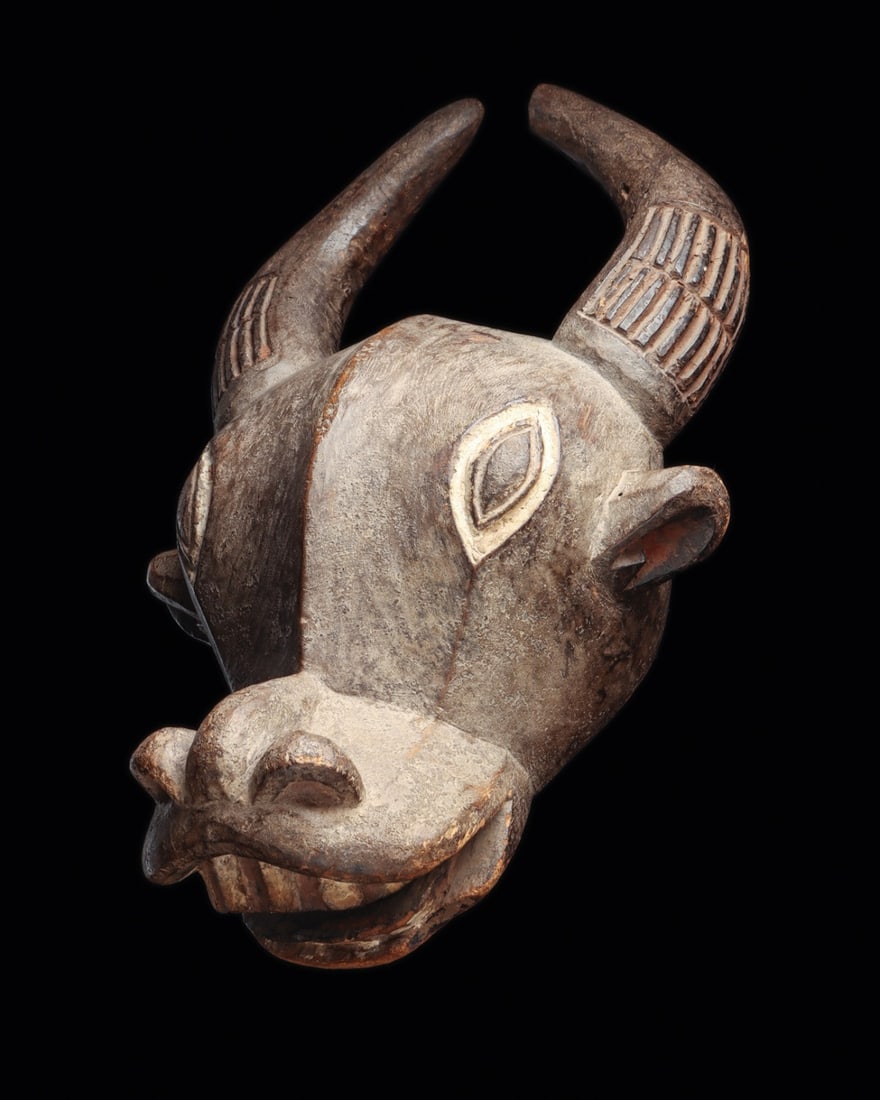 Bamun Buffalo Helmet Mask with Kaolin Eyes, Cameroon Grassfields: Central Africa, Cameroon, Grassfields, Bamun Kingdom, ca. 1900–1960 CE. A buffalo bursts from the wood in bold planes: sweeping horns ridged with deeply cut bands, a swollen brow split by a rais