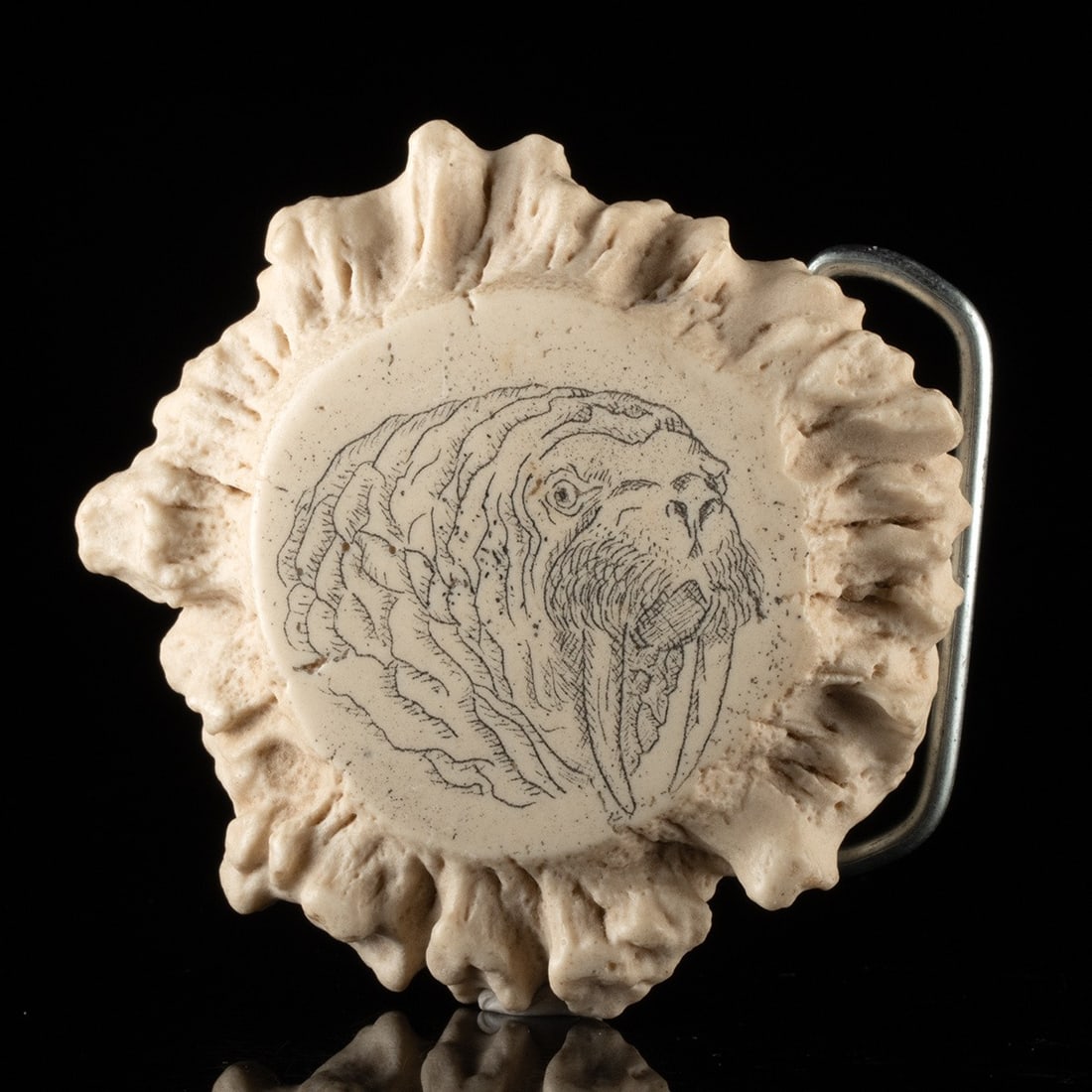 Alaskan Scrimshaw Antler Belt Buckle with Walrus Head: United States, Alaska, ca. late 20th to 21st century CE. A belt buckle worked from an antler section, the polished central disc engraved with a walrus head in profile, the tusks, whiskers, and heavy f