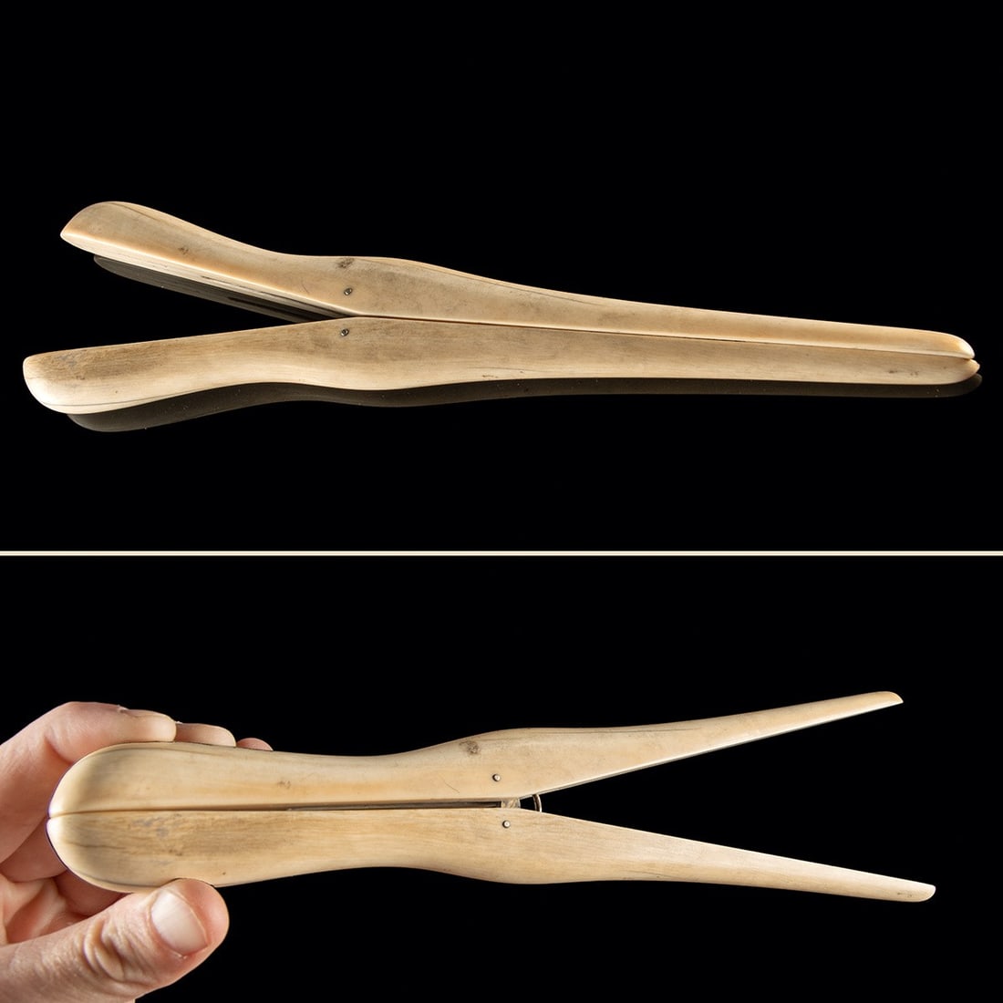 19th C. Tiffany & Co Ivory Glove Stretcher - Union Square Mark: North America, United States, American, ca. 1870–1906 CE. A pair of slender ivory blades, pivoting scissor-like on a central rivet, tapers from gracefully waisted handles to smooth, spatulate ti