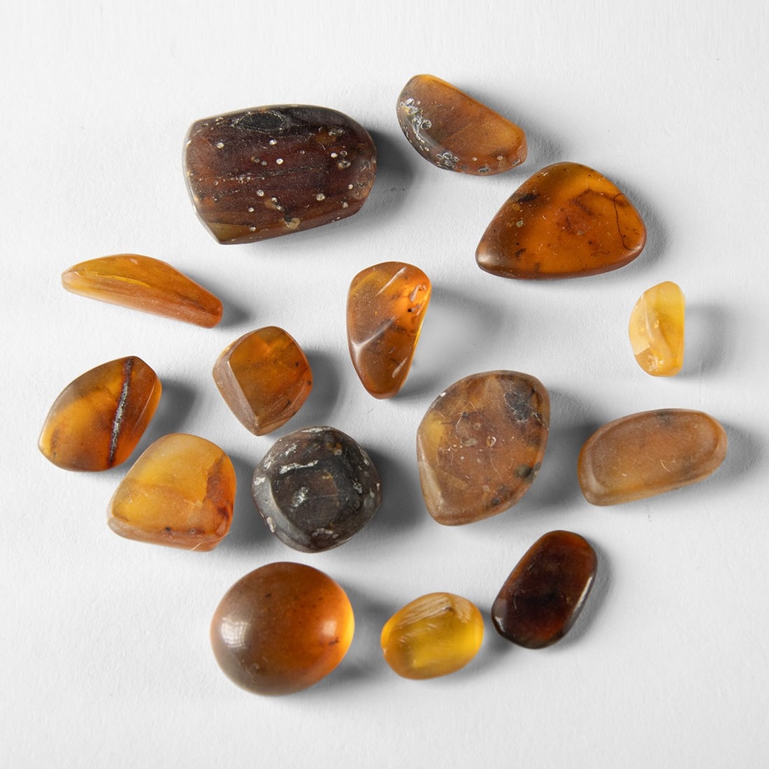 Baltic Amber Group - Fifteen Polished Pieces with Insect Inclusions (1 of 1)