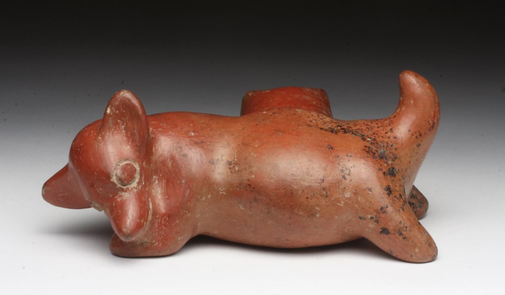 Adorable Colima Puppy, Resting Position: Pre-Columbian, West Mexico, Colima, Ca 200 BCE to 200 CE. How cute is this!!?? Redware dog shown sprawled resting his head on his front left paw, tail raised showing total contentedness, small spout e