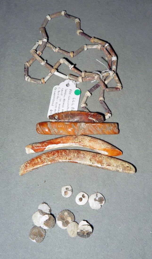 Group of Pre-Columbian West Mexican Shell Beads: West Mexico, Ca 300 BCE/CE. Nice group of shell beads. First, necklace of tubular and discoidal beads - 26" L. Next, four spondylus shell beads, each drilled for suspension - 2" to 4" long.. Finally, 