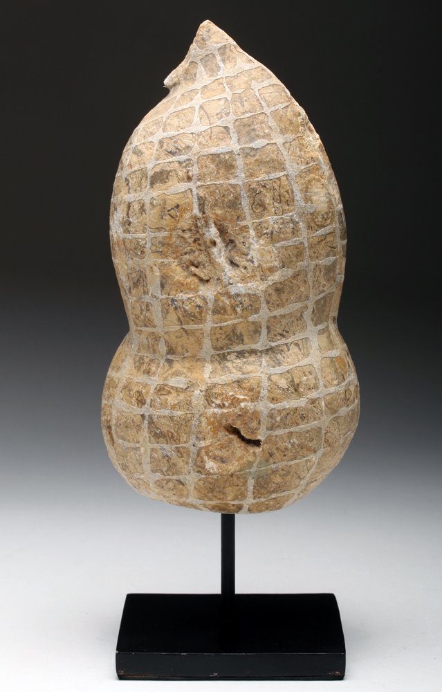 Huge Mineral "Peanut" - Siderite: Sumatra, Indonesia, Jurassic geological period, ca. 201 to 144,000,000 BP. An extremely rare concretion that looks amazingly like a fossilized peanut - which was the identification given to prior owne